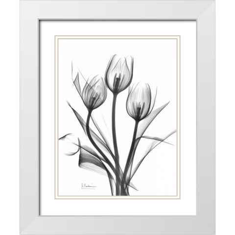 Tulips Bunch in BandW White Modern Wood Framed Art Print with Double Matting by Koetsier, Albert