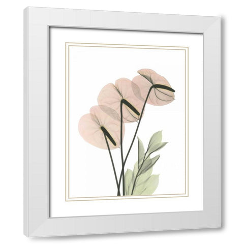 Flamingo in Color White Modern Wood Framed Art Print with Double Matting by Koetsier, Albert