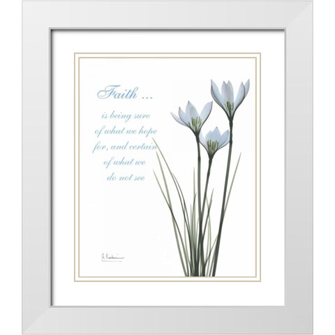 White Rain Lily - Faith White Modern Wood Framed Art Print with Double Matting by Koetsier, Albert