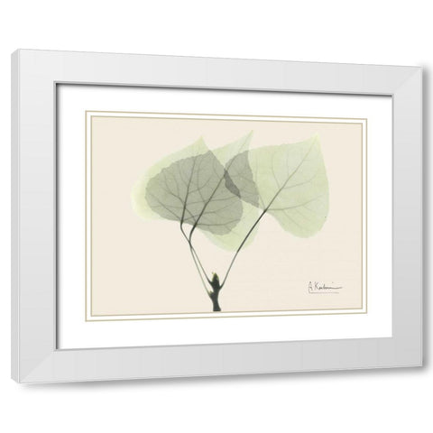 Aspen on Beige White Modern Wood Framed Art Print with Double Matting by Koetsier, Albert