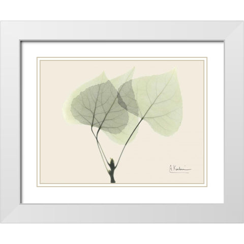 Aspen on Beige White Modern Wood Framed Art Print with Double Matting by Koetsier, Albert