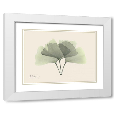 Ginkgo on Beige White Modern Wood Framed Art Print with Double Matting by Koetsier, Albert