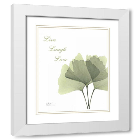 Ginkgo - Live White Modern Wood Framed Art Print with Double Matting by Koetsier, Albert