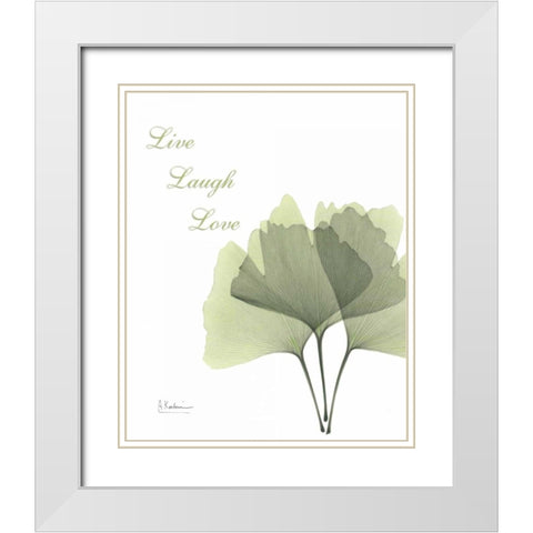 Ginkgo - Live White Modern Wood Framed Art Print with Double Matting by Koetsier, Albert