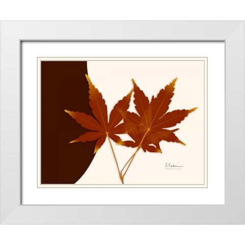 Japanese Maple on Brown and Beige White Modern Wood Framed Art Print with Double Matting by Koetsier, Albert