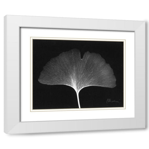 Ginkgo Single Leaf  Close Up on Black White Modern Wood Framed Art Print with Double Matting by Koetsier, Albert