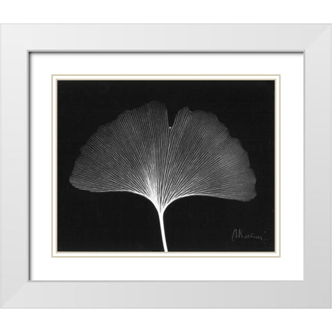 Ginkgo Single Leaf  Close Up on Black White Modern Wood Framed Art Print with Double Matting by Koetsier, Albert