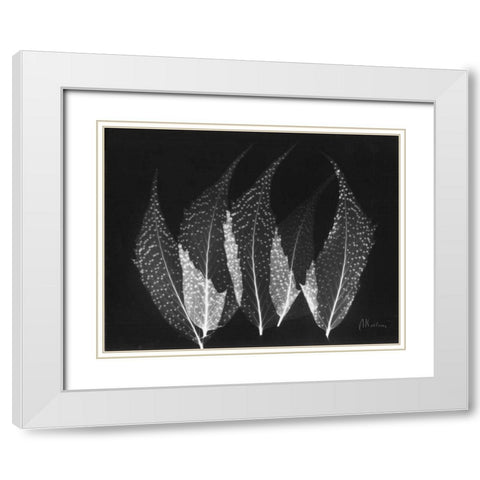 Japanese Ferns Close Up on Black White Modern Wood Framed Art Print with Double Matting by Koetsier, Albert