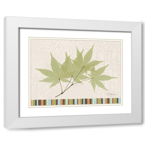 Trimmed Maple White Modern Wood Framed Art Print with Double Matting by Koetsier, Albert