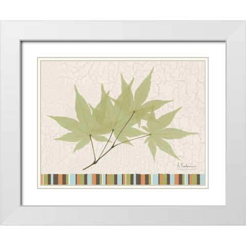 Trimmed Maple White Modern Wood Framed Art Print with Double Matting by Koetsier, Albert