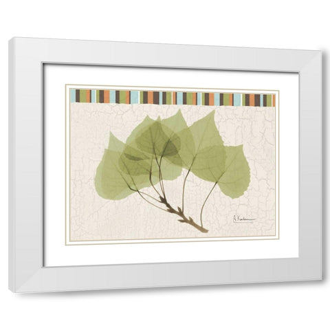 Trimmed Aspen White Modern Wood Framed Art Print with Double Matting by Koetsier, Albert