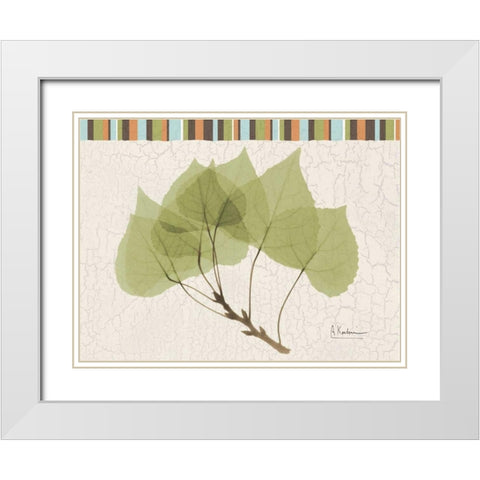 Trimmed Aspen White Modern Wood Framed Art Print with Double Matting by Koetsier, Albert