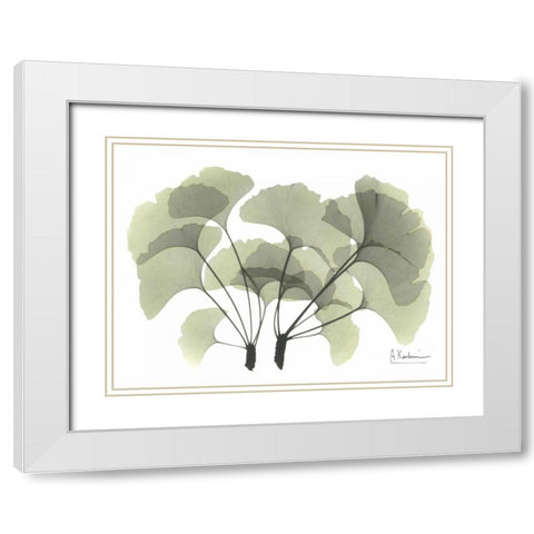 Ginkgo in Green White Modern Wood Framed Art Print with Double Matting by Koetsier, Albert