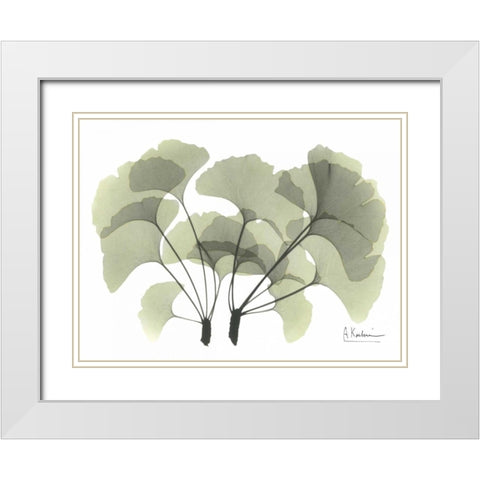 Ginkgo in Green White Modern Wood Framed Art Print with Double Matting by Koetsier, Albert