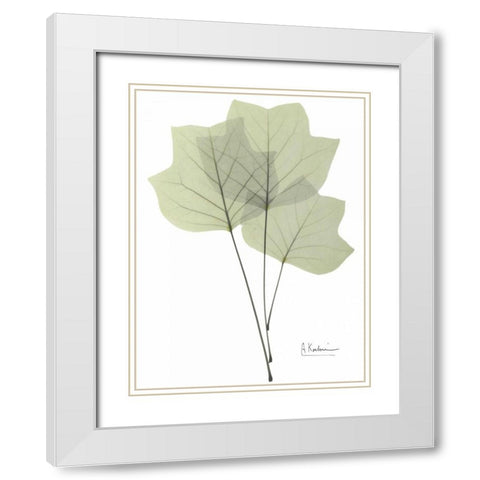 Tulip Tree in Green White Modern Wood Framed Art Print with Double Matting by Koetsier, Albert