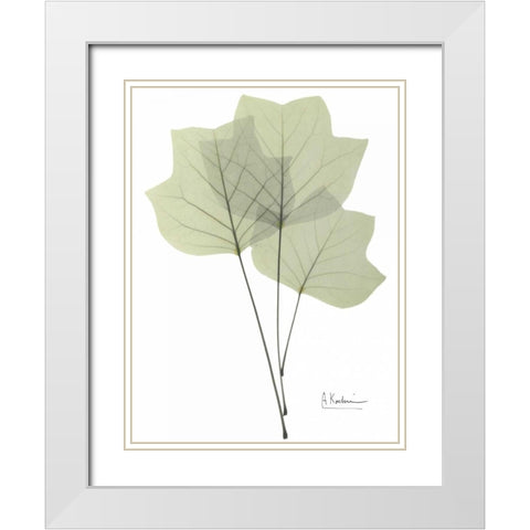 Tulip Tree in Green White Modern Wood Framed Art Print with Double Matting by Koetsier, Albert