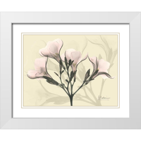 Oleander in Pink on Beige White Modern Wood Framed Art Print with Double Matting by Koetsier, Albert