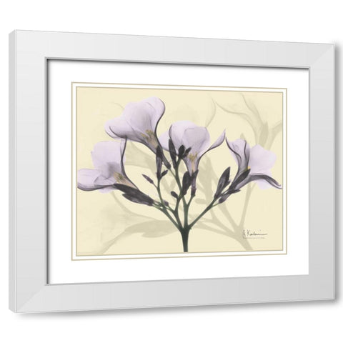 Oleander in Purple on Beige White Modern Wood Framed Art Print with Double Matting by Koetsier, Albert