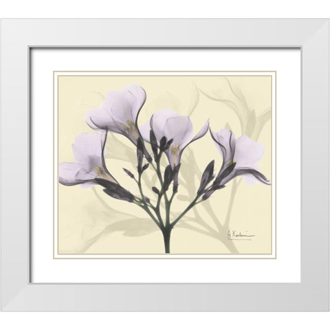 Oleander in Purple on Beige White Modern Wood Framed Art Print with Double Matting by Koetsier, Albert