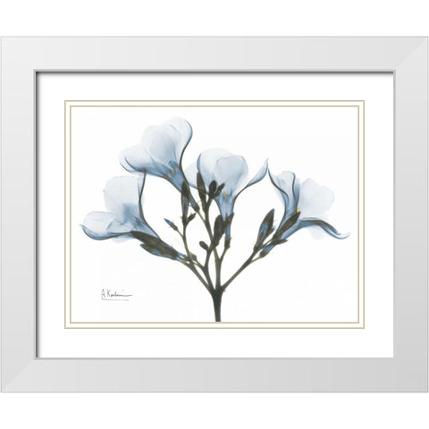 Oleander in Blue White Modern Wood Framed Art Print with Double Matting by Koetsier, Albert