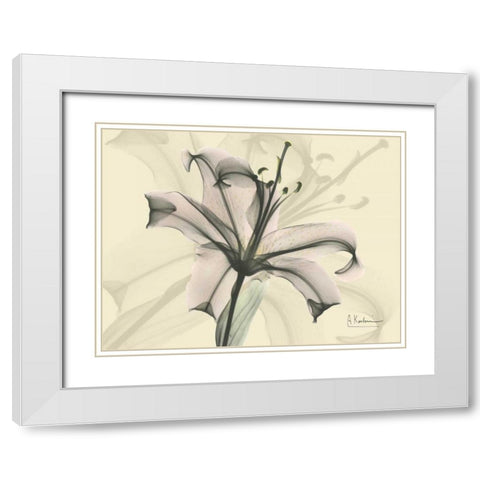 Lily in Pink on Beige White Modern Wood Framed Art Print with Double Matting by Koetsier, Albert