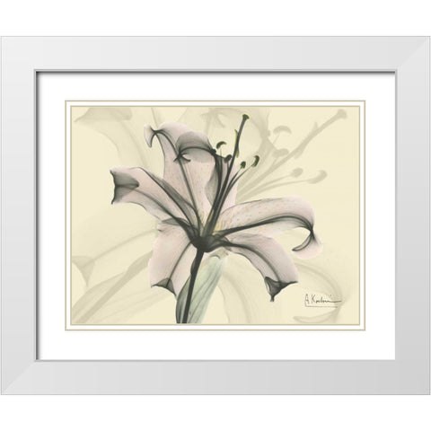 Lily in Pink on Beige White Modern Wood Framed Art Print with Double Matting by Koetsier, Albert