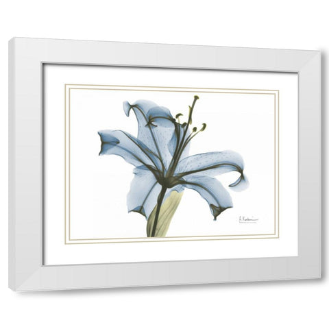 Lily in Pink on Blue White Modern Wood Framed Art Print with Double Matting by Koetsier, Albert