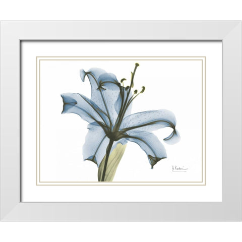 Lily in Pink on Blue White Modern Wood Framed Art Print with Double Matting by Koetsier, Albert