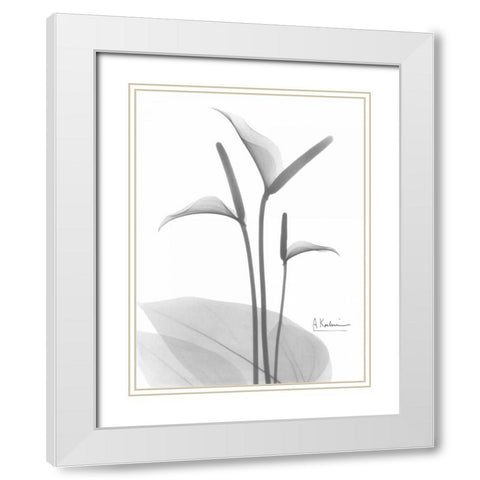 Flamingo in BandW White Modern Wood Framed Art Print with Double Matting by Koetsier, Albert