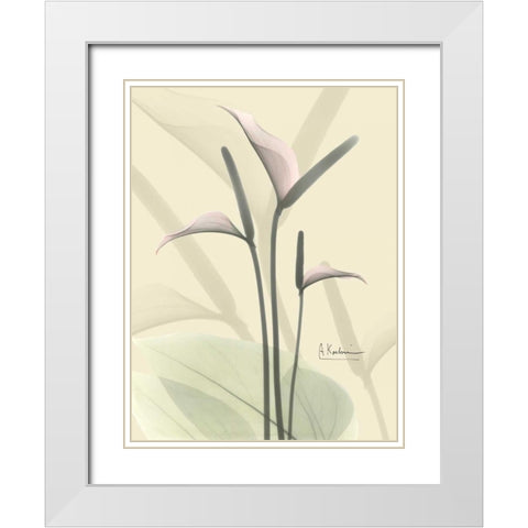 Flamingo in Color on Beige White Modern Wood Framed Art Print with Double Matting by Koetsier, Albert