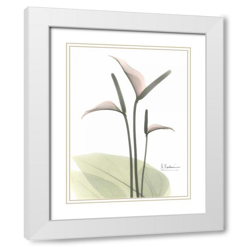 Flamingo in Color White Modern Wood Framed Art Print with Double Matting by Koetsier, Albert