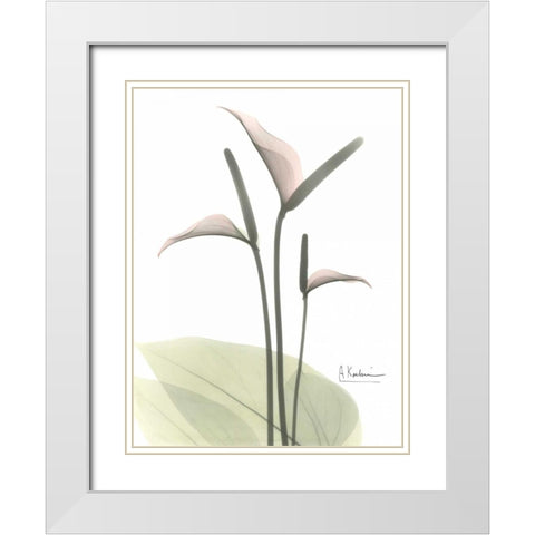 Flamingo in Color White Modern Wood Framed Art Print with Double Matting by Koetsier, Albert