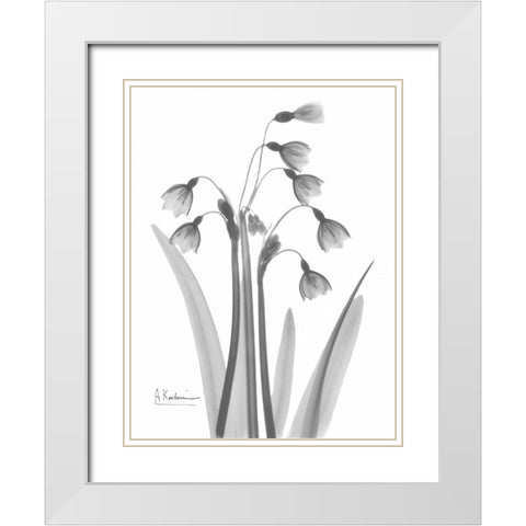 Snow Drop in BandW White Modern Wood Framed Art Print with Double Matting by Koetsier, Albert