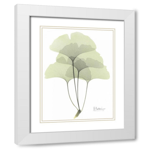 Gingko in Pale Green White Modern Wood Framed Art Print with Double Matting by Koetsier, Albert