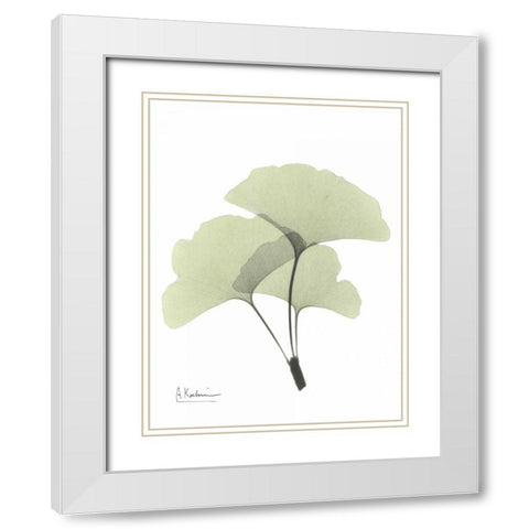 Gingko in Pale Green 2 White Modern Wood Framed Art Print with Double Matting by Koetsier, Albert