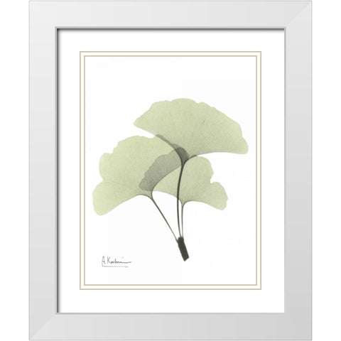 Gingko in Pale Green 2 White Modern Wood Framed Art Print with Double Matting by Koetsier, Albert