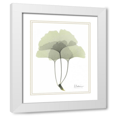 Gingko in Pale Green 3 White Modern Wood Framed Art Print with Double Matting by Koetsier, Albert