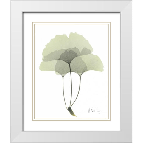 Gingko in Pale Green 3 White Modern Wood Framed Art Print with Double Matting by Koetsier, Albert