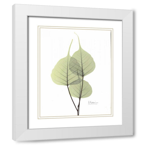 Bo Tree in Pale Green 2 White Modern Wood Framed Art Print with Double Matting by Koetsier, Albert