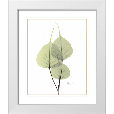 Bo Tree in Pale Green 2 White Modern Wood Framed Art Print with Double Matting by Koetsier, Albert