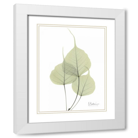 Bo Tree in Pale Green White Modern Wood Framed Art Print with Double Matting by Koetsier, Albert