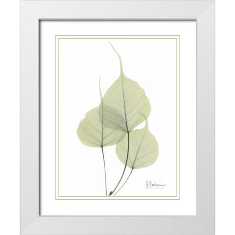 Bo Tree in Pale Green White Modern Wood Framed Art Print with Double Matting by Koetsier, Albert