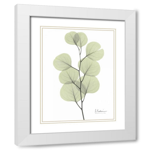 Eucalyptus in Pale Green White Modern Wood Framed Art Print with Double Matting by Koetsier, Albert