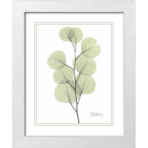 Eucalyptus in Pale Green White Modern Wood Framed Art Print with Double Matting by Koetsier, Albert