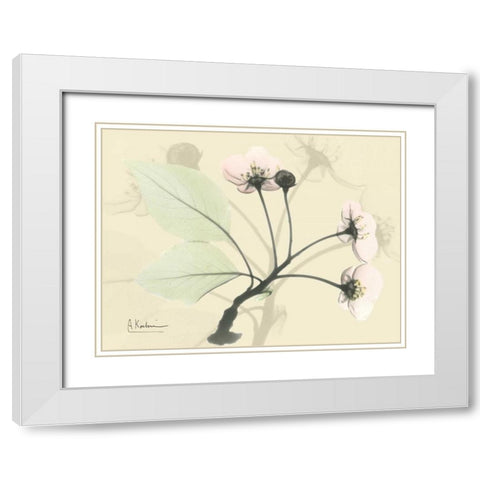 Wild Cherry on Beige White Modern Wood Framed Art Print with Double Matting by Koetsier, Albert