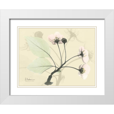 Wild Cherry on Beige White Modern Wood Framed Art Print with Double Matting by Koetsier, Albert