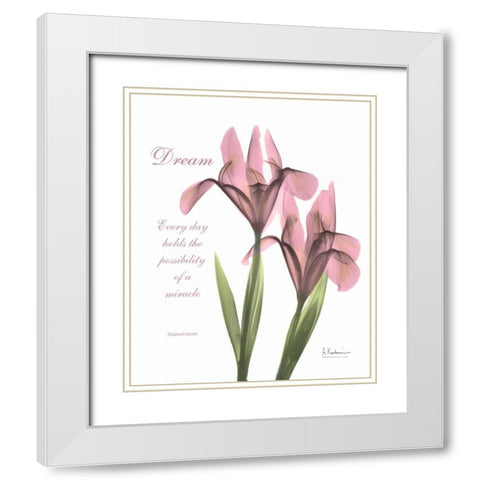 Pink Iris - Dream White Modern Wood Framed Art Print with Double Matting by Koetsier, Albert