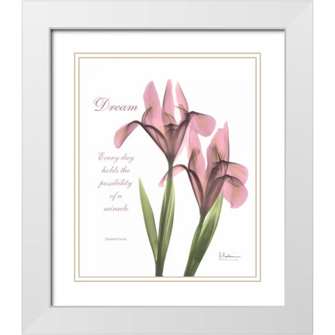 Pink Iris - Dream White Modern Wood Framed Art Print with Double Matting by Koetsier, Albert