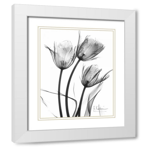 Tulip Arrangement in BandW White Modern Wood Framed Art Print with Double Matting by Koetsier, Albert