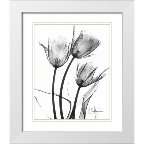 Tulip Arrangement in BandW White Modern Wood Framed Art Print with Double Matting by Koetsier, Albert
